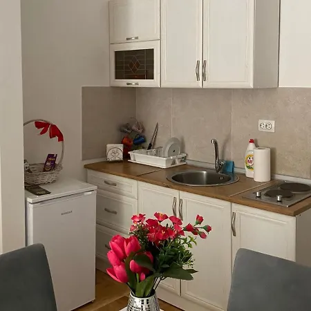 Apartmani Centar Vrnjacka Banja & Free Parking Exterior photo