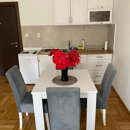 Apartmani Centar Vrnjacka Banja & Free Parking Exterior photo