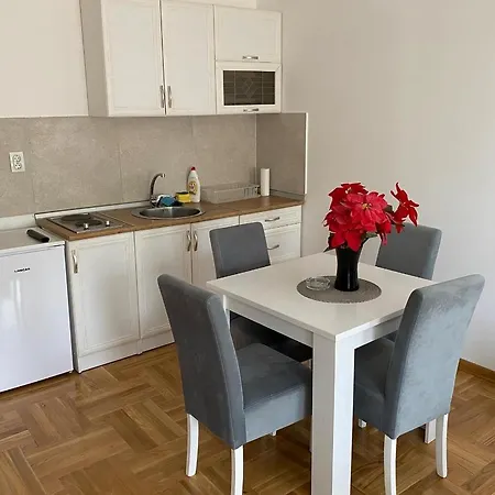 Apartmani Centar Vrnjacka Banja & Free Parking Exterior photo