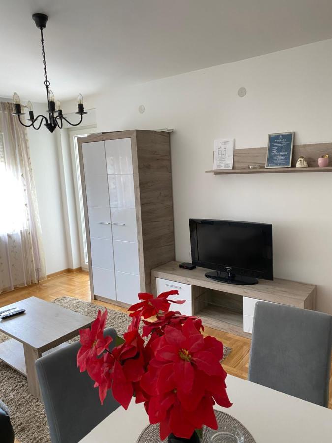 Apartment Centar & Free Parking Vrnjacka Banja