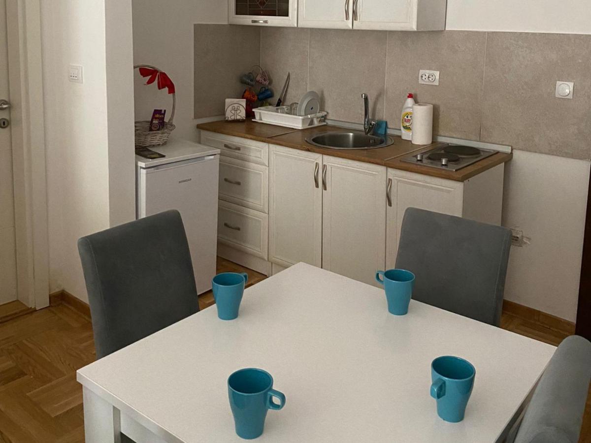 Apartment Centar & Free Parking Vrnjacka Banja