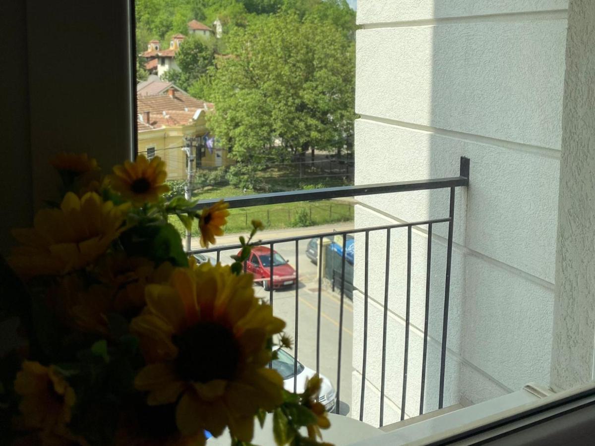 Centar & Free Parking Apartment *