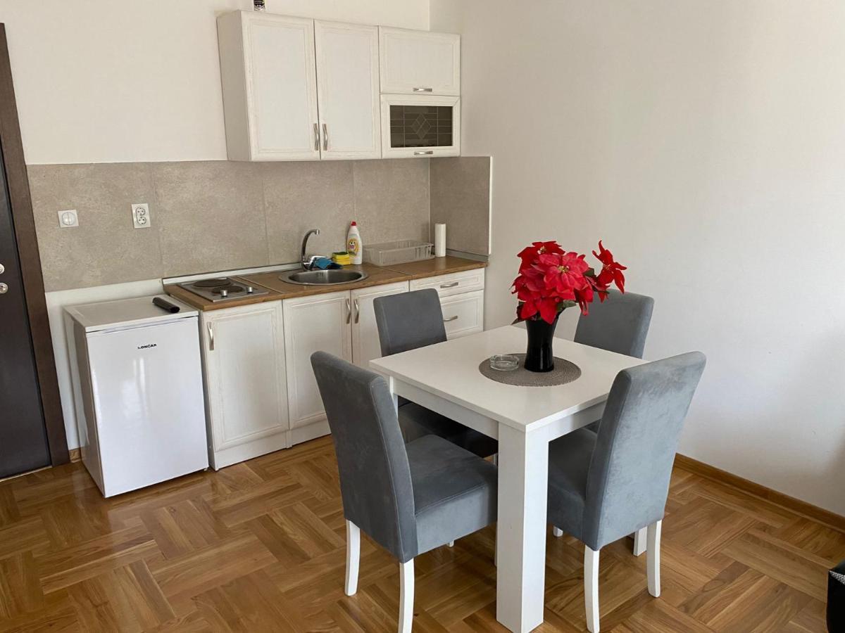 Centar & Free Parking Apartment Vrnjacka Banja